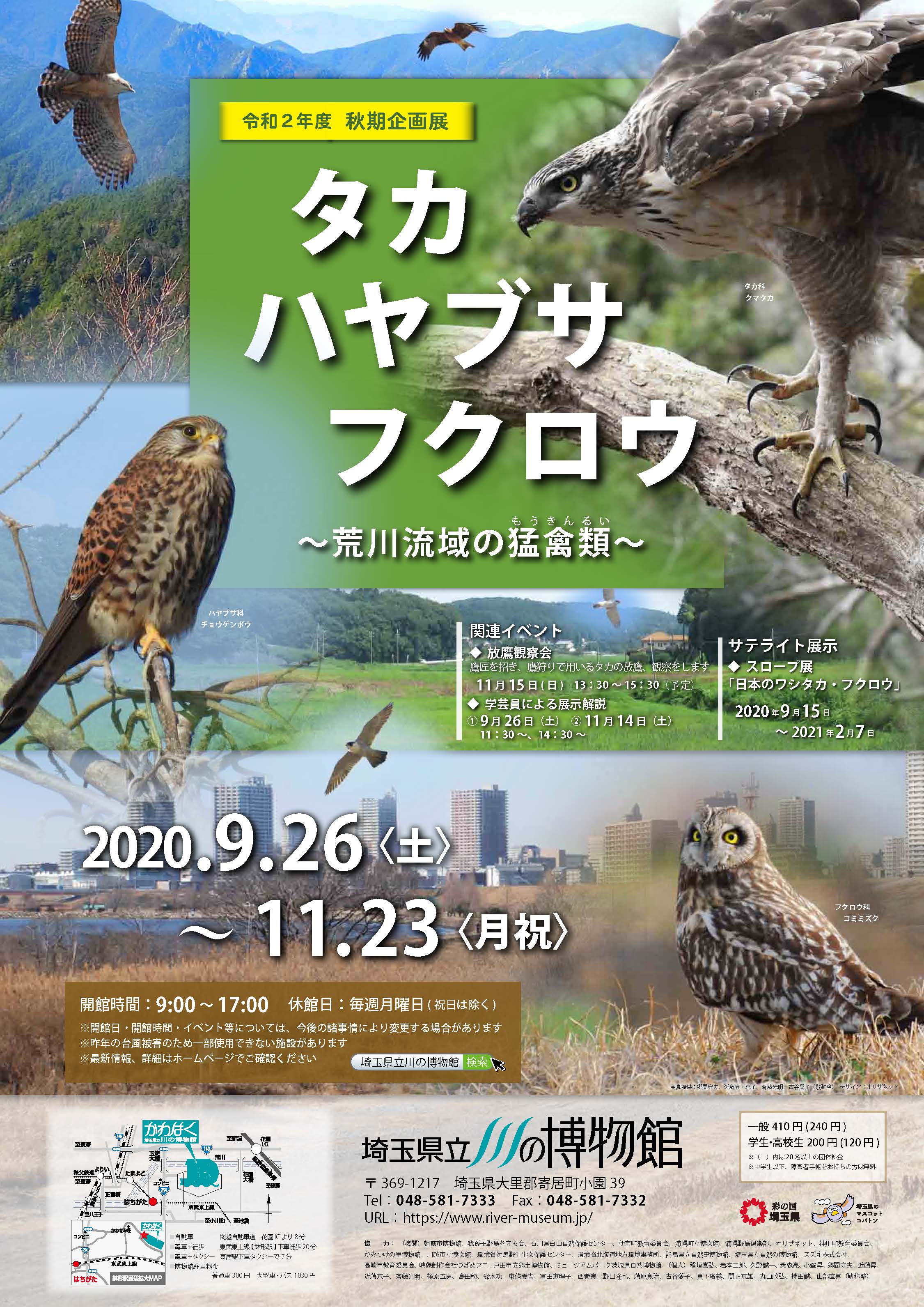 タカ ハヤブサ フクロウ 荒川流域の猛禽類 埼玉県立川の博物館 かわはく