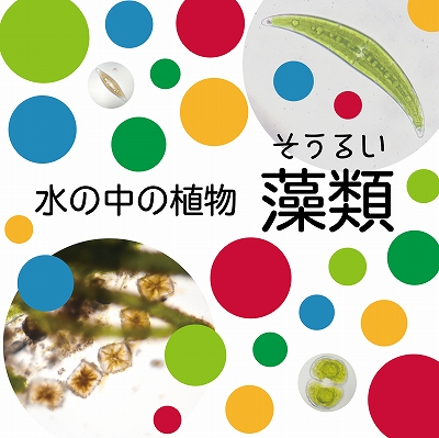 スロープ展示 水の中の植物 藻類 埼玉県立川の博物館 かわはく